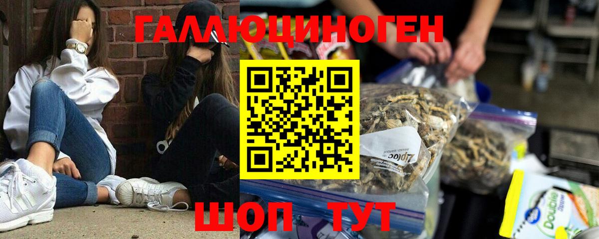 Псилоцибиновые грибы мухоморы Азов